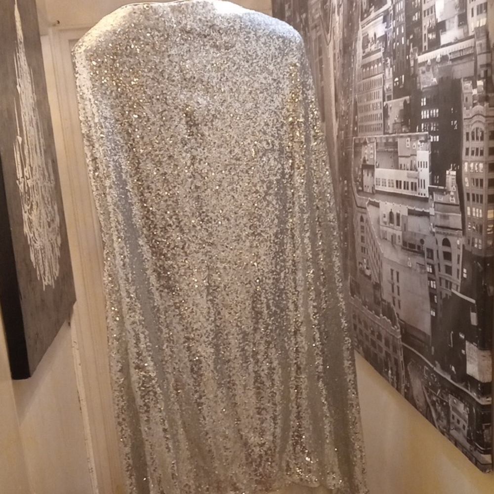 Anthropologie Shimmering Silver Sequin Cape